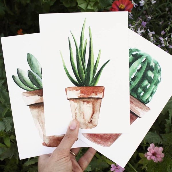 Скетчинг цветы в горшках