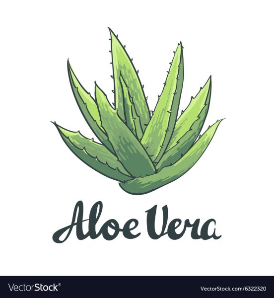 Алоэ Вера надпись