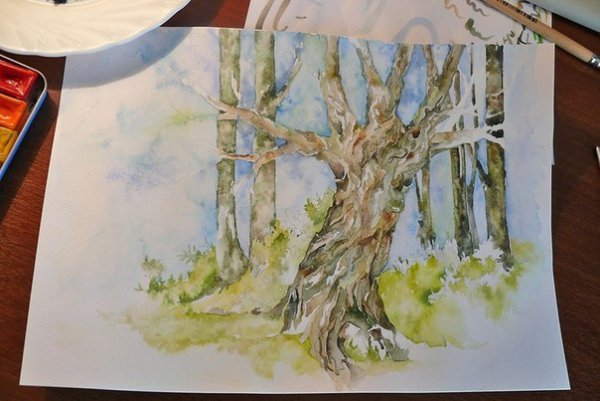 Ствол дерева акварелью