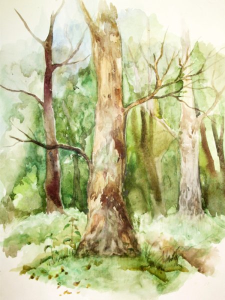 Ствол дерева живопись