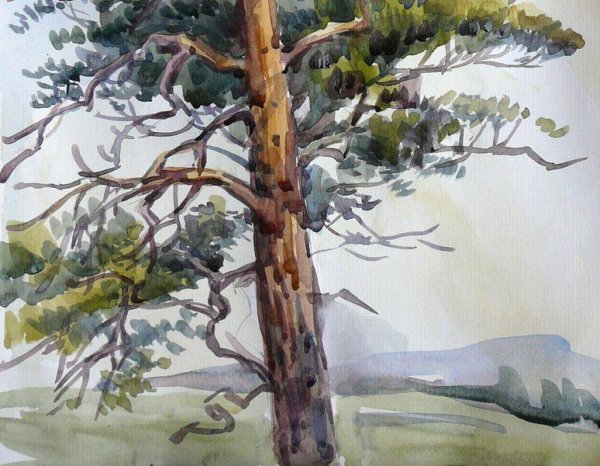 Peter Sheeler Watercolour