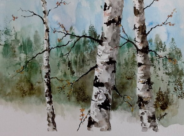 Этюд коры дерева акварель