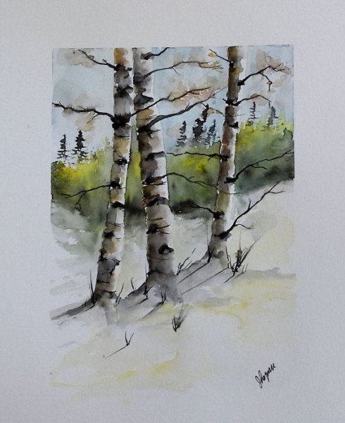 Ствол дерева акварелью пленэр