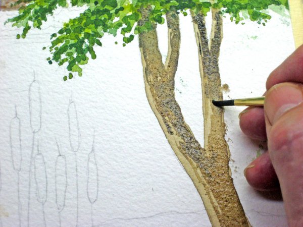 Шишкин Иван Иванович кора дерева