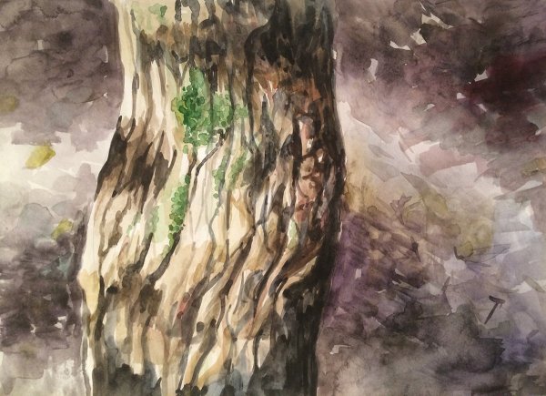 Кора дерева акварелью