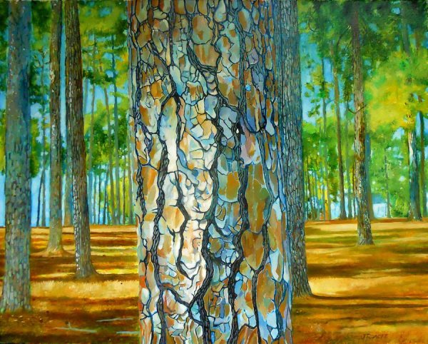 Живописные этюды деревьев