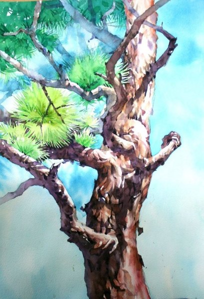 Фактуры для рисования