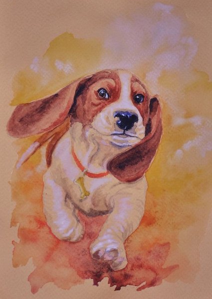 Собака гуашью