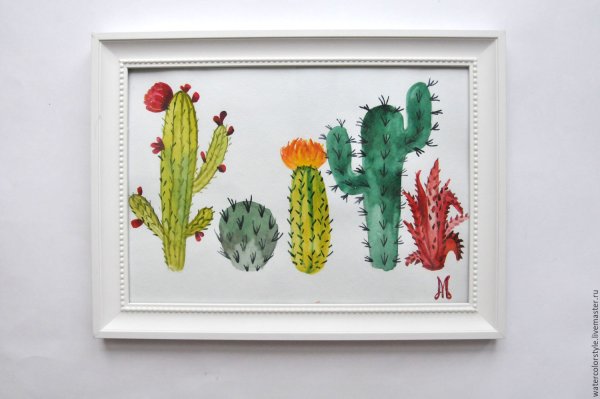 Картина на холсте Кактус