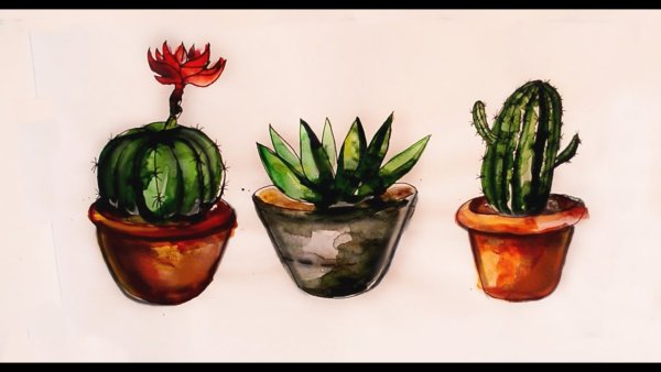 Кактус гуашью