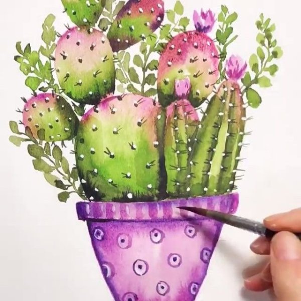 Акварельные кактусы в горшках