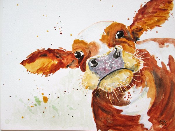 Бык зимы в Якутии