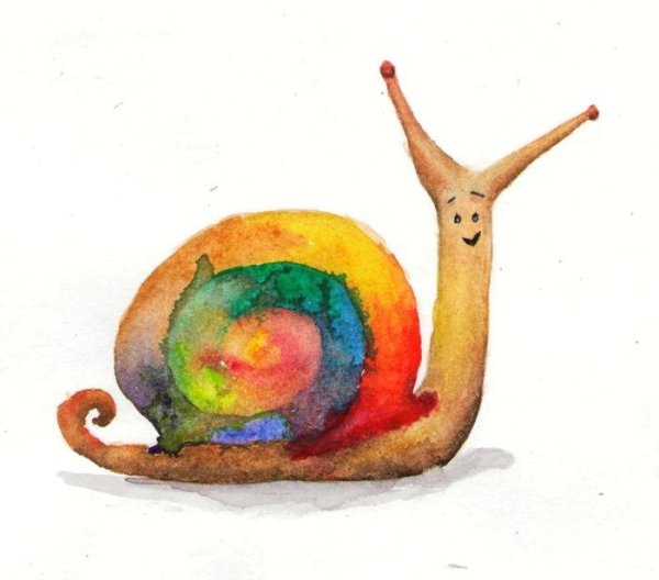 Улитка рисунок акварель