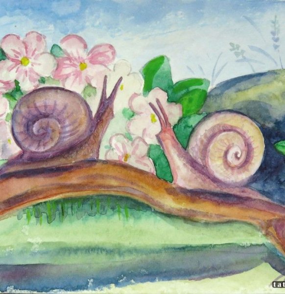 Рисование улитка