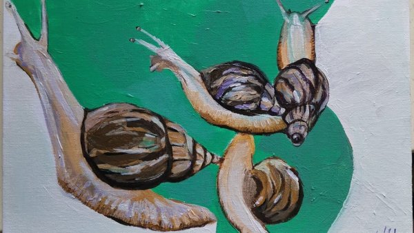 Мастер класс по рисованию улиток