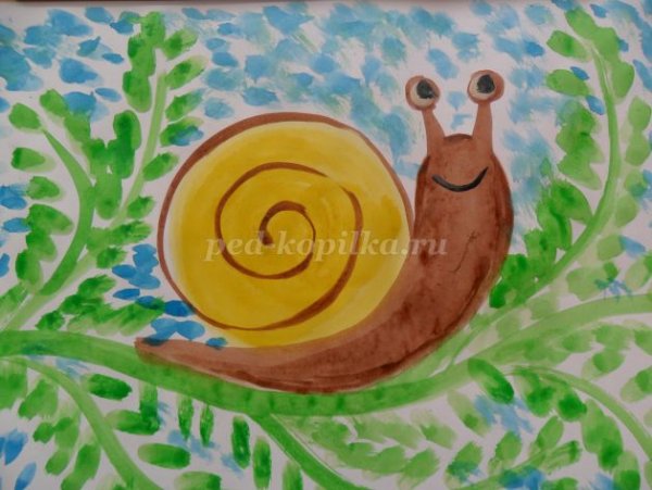 Рисование улитка в средней группе