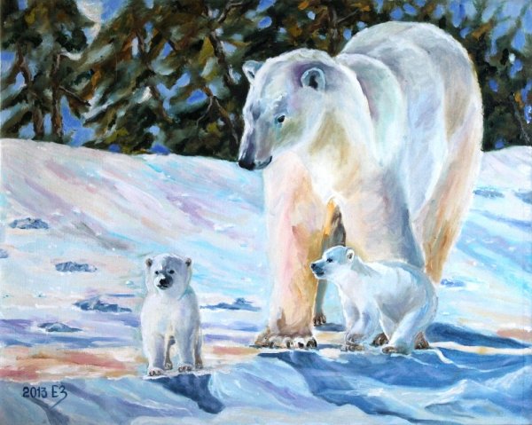 Северный полюс Северное сияние белый медведь