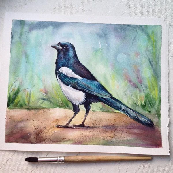 Альбина статных художник