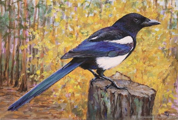 Сорока в живописи