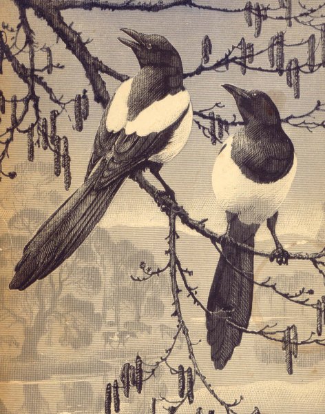 Сорока в живописи