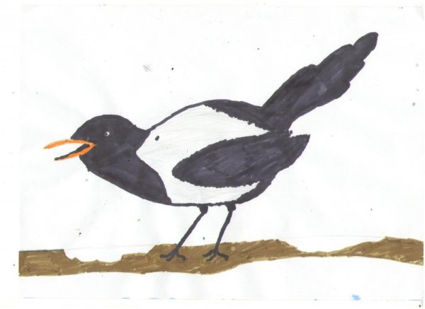 Сорока белобока Издательство малыш