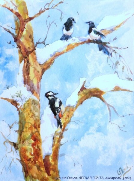 Сорока рисунок