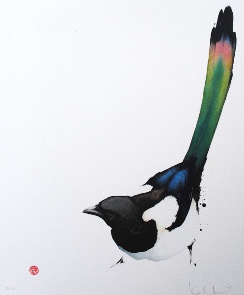 Сорока сидит на ветке