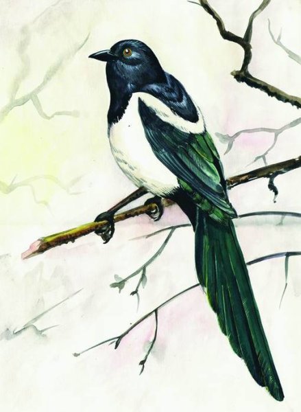 Пейзажи с сороками