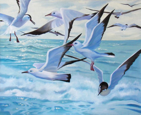 Чайки акварель