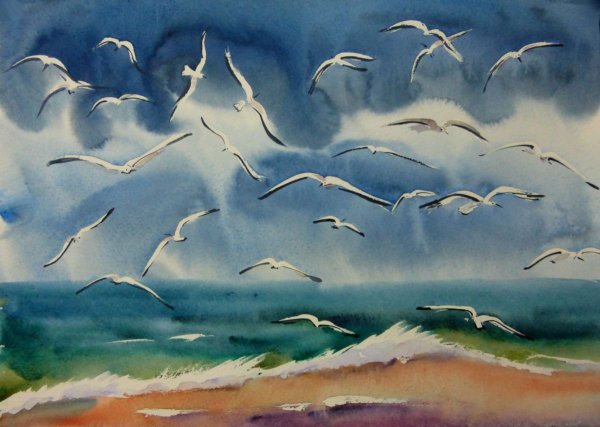 Чайка красками