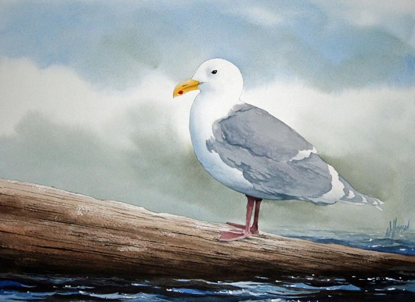 Картина красками Чайки