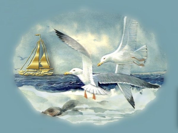 Парусник и Чайки картина