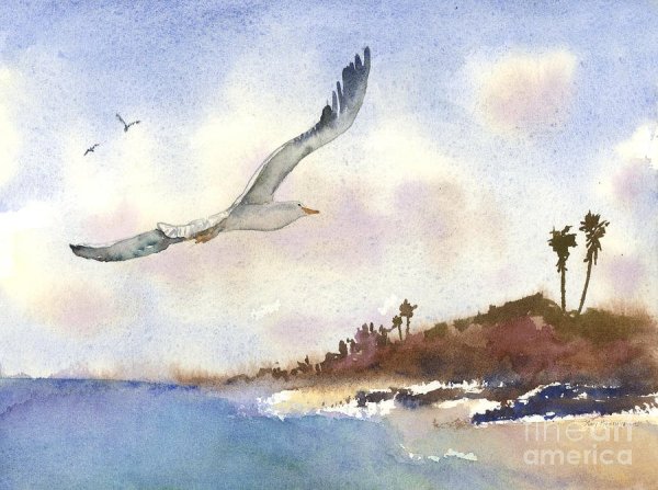 Чайка акварель