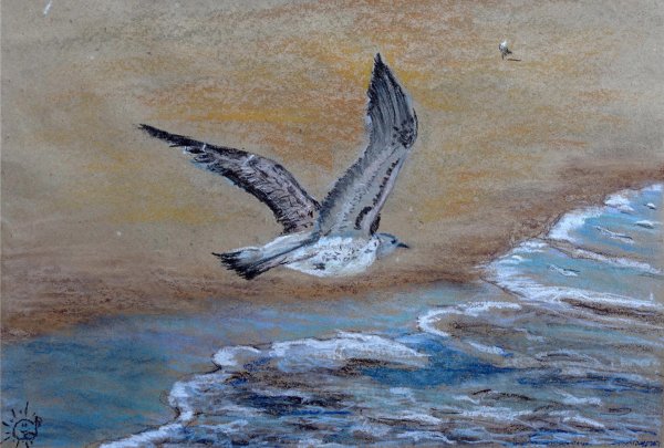 Чайка гуашью