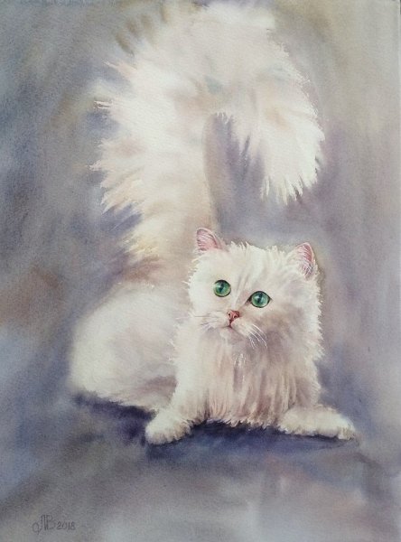 Белый кот акварелью