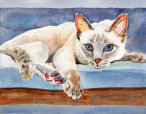 Рейчел Паркер