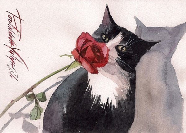Черно белая кошка гуашью