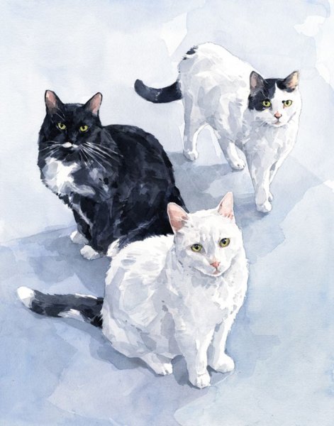 Белый кот акварелью