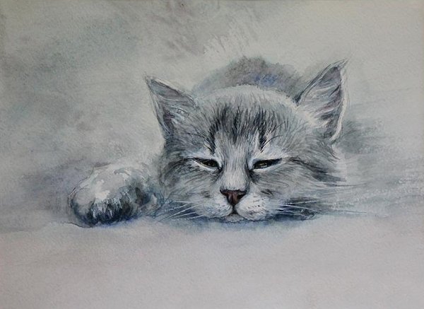 Кошка акварелью для начинающих