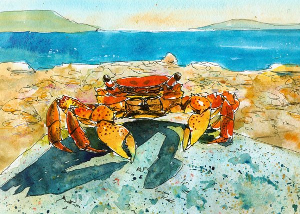 Краб рисунок акварелью
