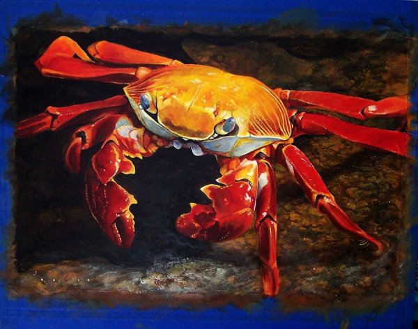 Краб картина