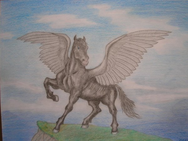 Пегас простым карандашом