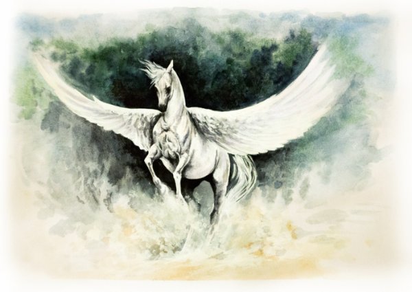 Пегас рисунок акварелью
