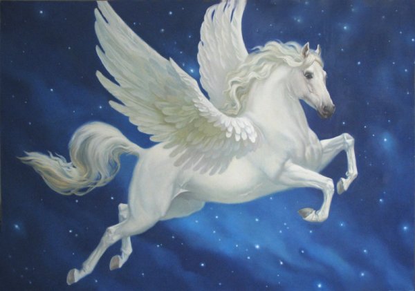 Башкирский конь Акбузат