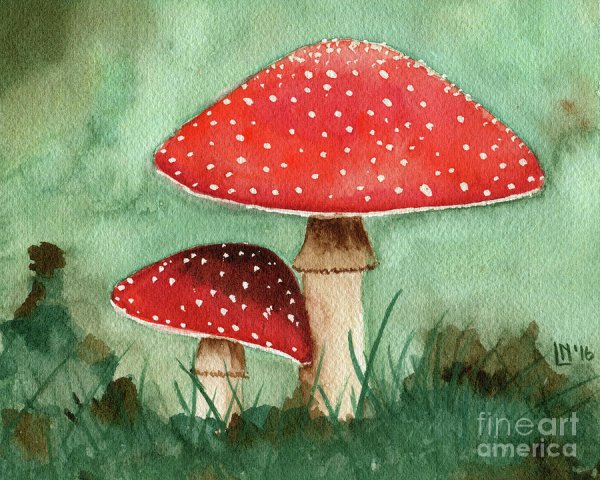 Мухомор акварель Сюзан Веллер