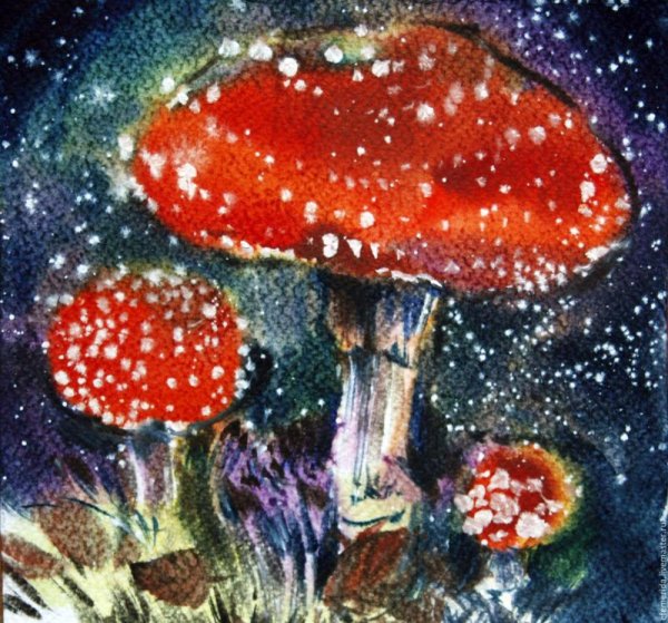 Мухомор акварель Сюзан Веллер