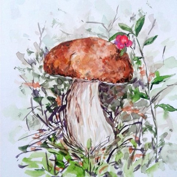 Картина Amanita muscaria