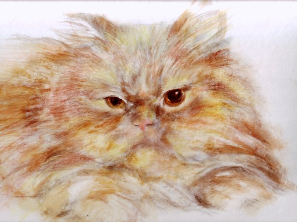 Акварель сухая кисть