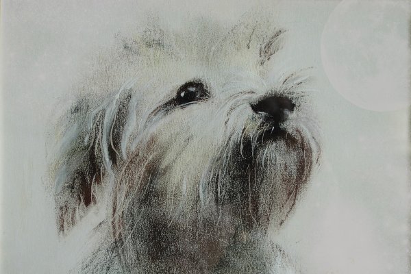 Рисование сухой кистью животных