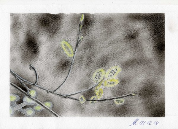 Акварель в технике сухая кисть